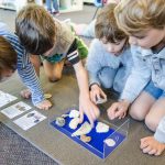 Children looking at fossils.